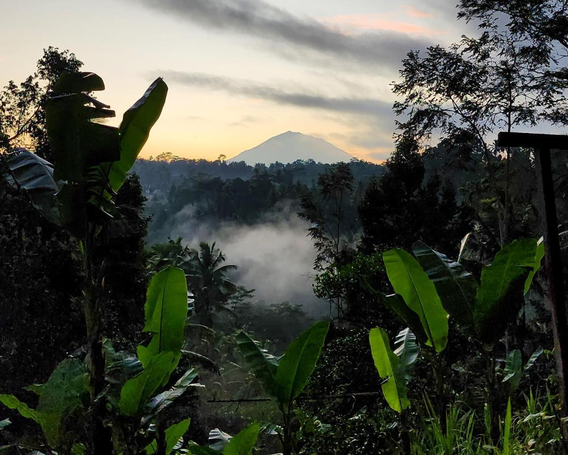 Delta Casa Ubud-Cozy Tropical Villas With Volcano View Gianyar (Bali) Bagian luar foto