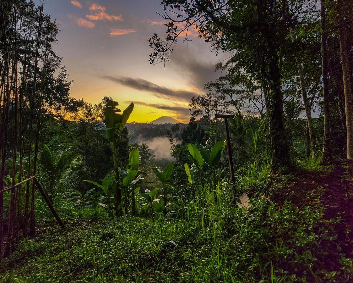 Delta Casa Ubud-Cozy Tropical Villas With Volcano View Gianyar (Bali) Bagian luar foto