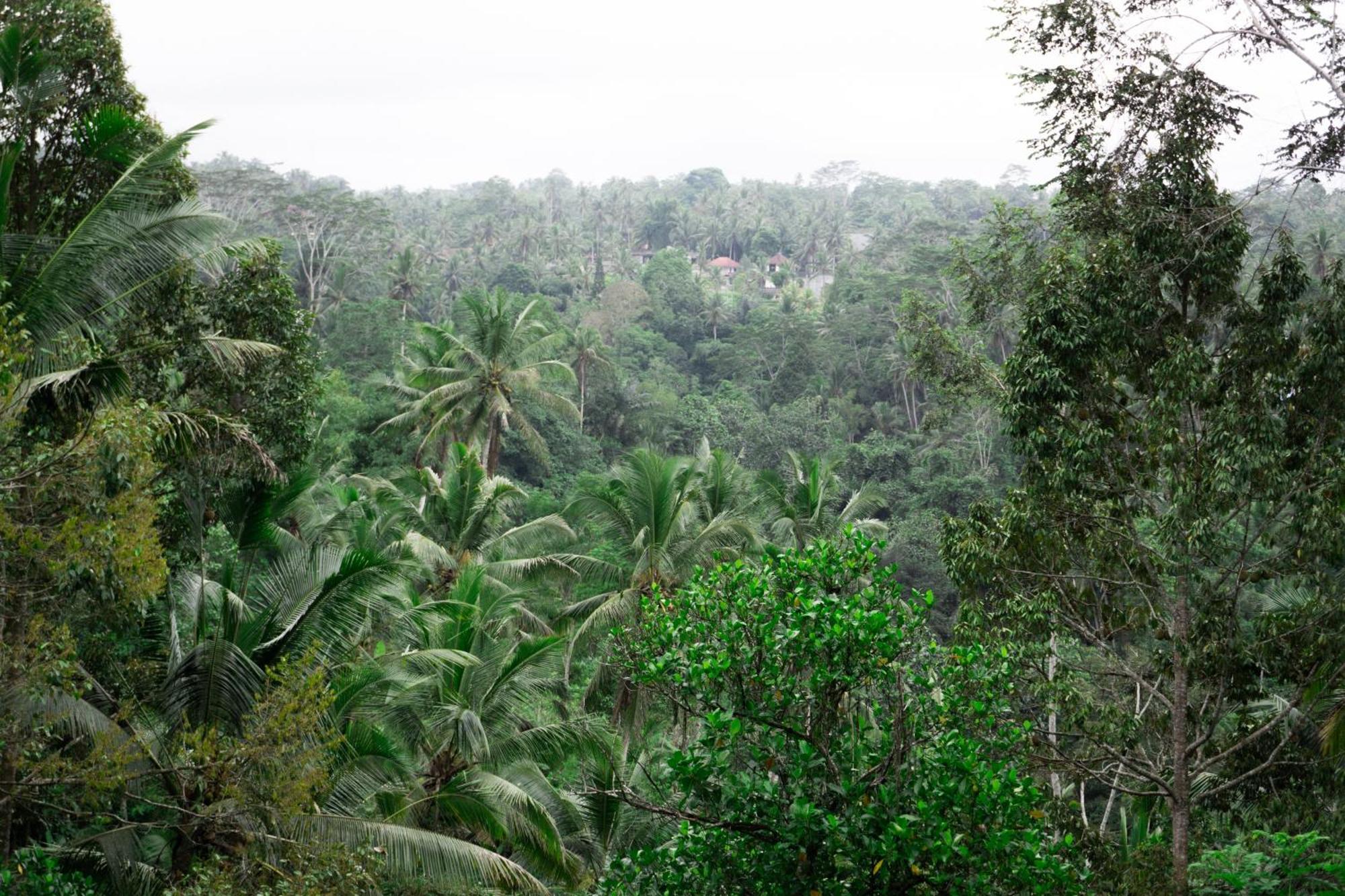 Delta Casa Ubud-Cozy Tropical Villas With Volcano View Gianyar (Bali) Bagian luar foto